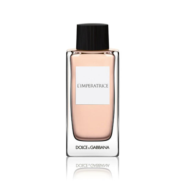 D&G ANTHOLOGY